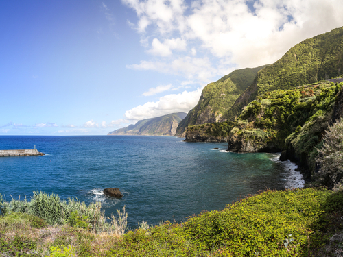 Funchal  Portugal Porto Moniz Safari Cruise Excursion Cost